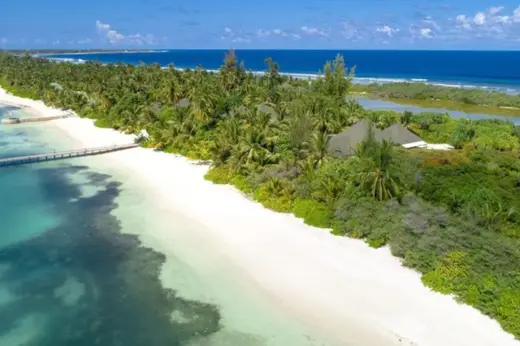 Canareef Resort, фото 3