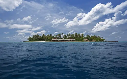 Malahini Kuda Bandos, фото 2