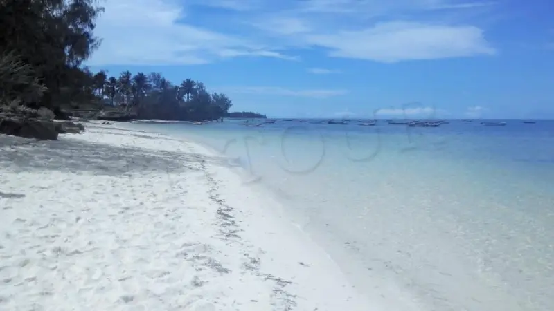 Paradise Beach Resort, фото 17