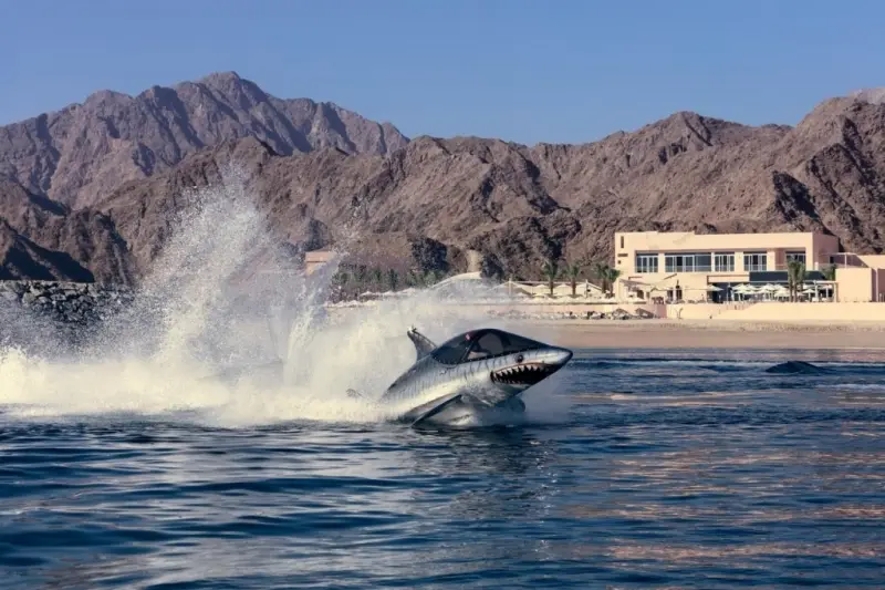 Fairmont Fujairah Beach Resort, фото 17