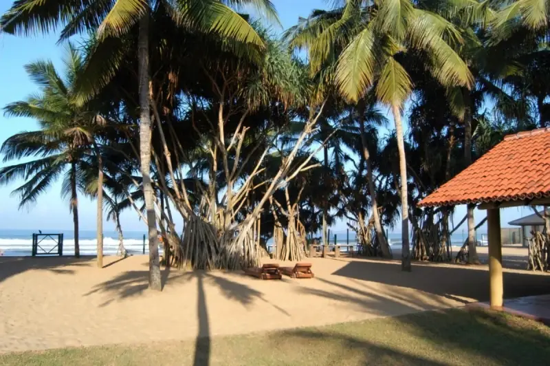 Hibiscus Beach Hotel, фото 5
