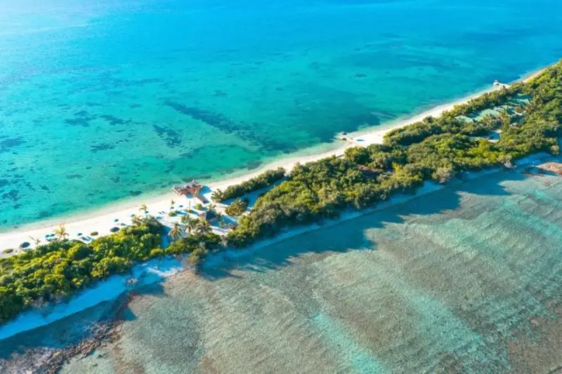 Canareef Resort, фото 2