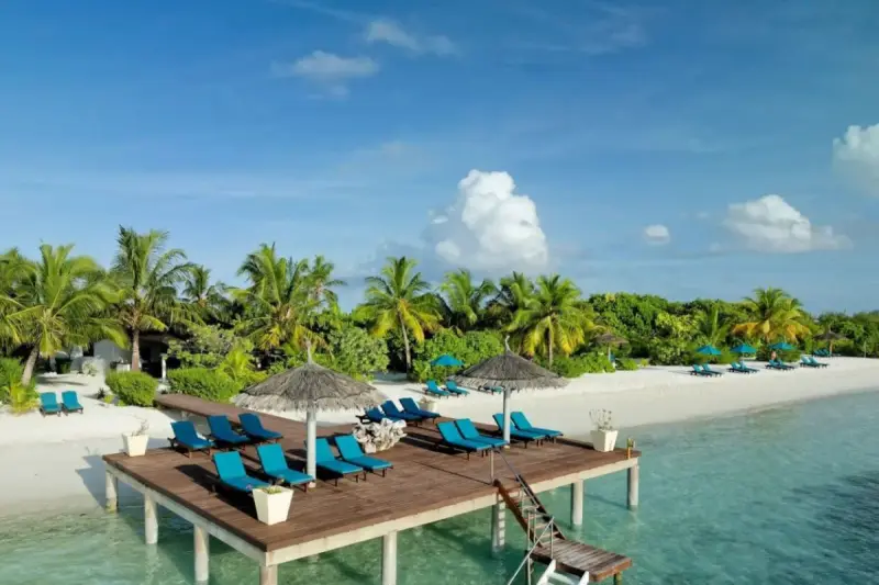 Canareef Resort, фото 4