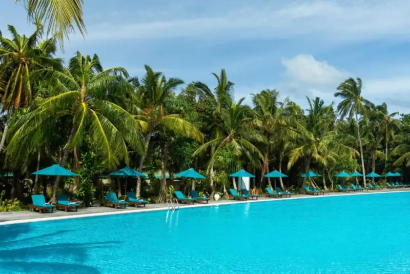 Canareef Resort, фото 11
