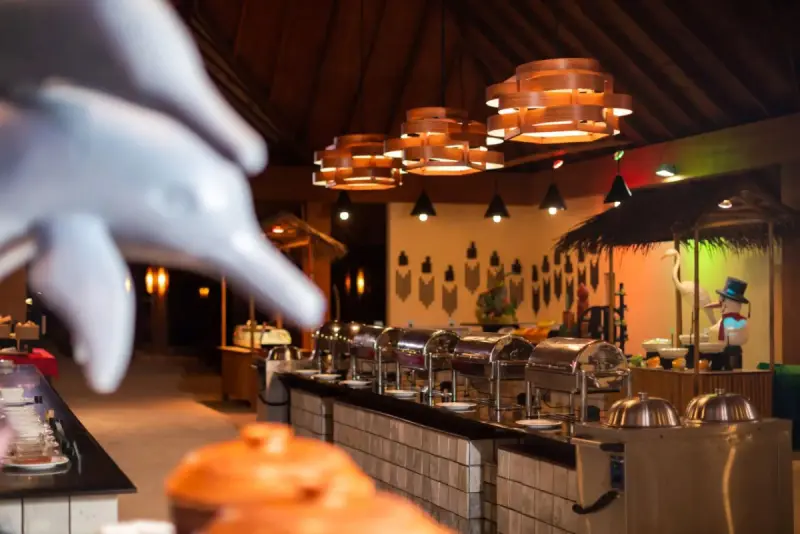 Canareef Resort, фото 18