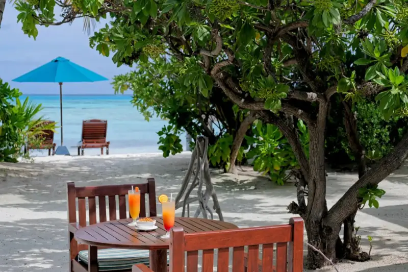 Canareef Resort, фото 20