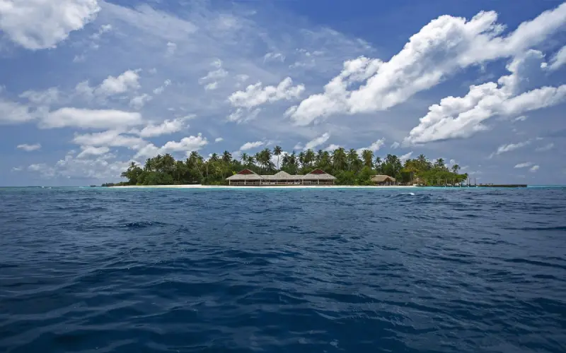 Malahini Kuda Bandos, фото 2